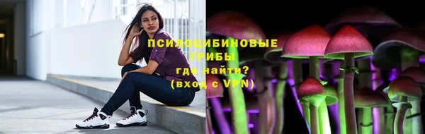 героин Алексин
