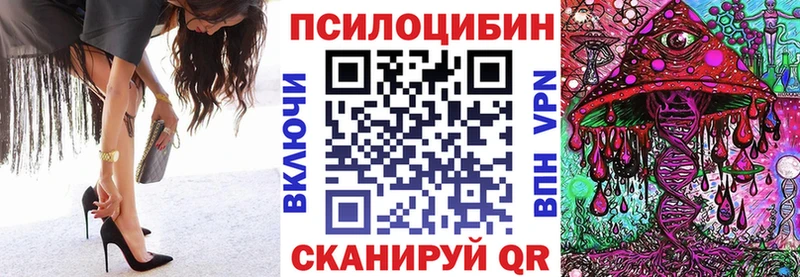 наркошоп  Сясьстрой  Галлюциногенные грибы прущие грибы 